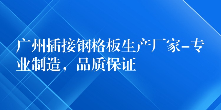 广州插接钢格板生产厂家-专业制造,品质保证 广州插接钢格板生产厂家-专业制造,品质保证